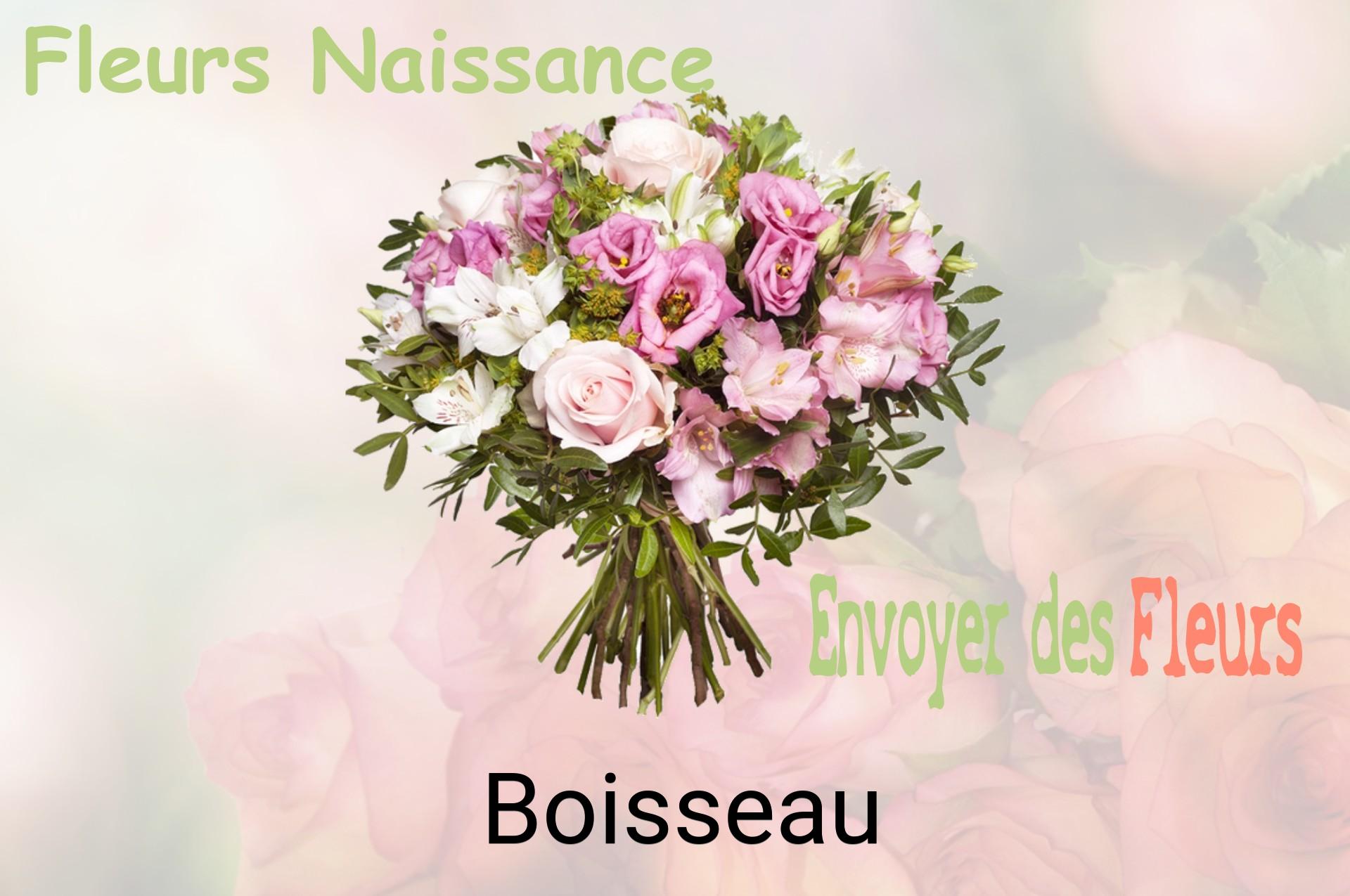 Bouquet de fleurs de naissance livré à Boisseau